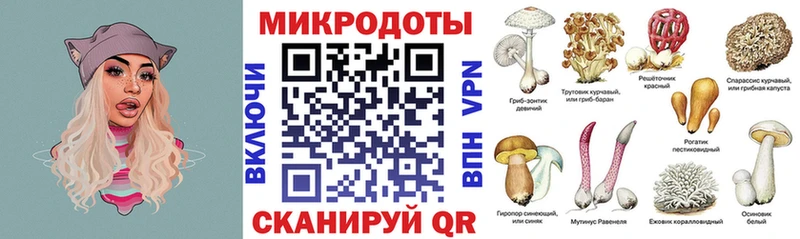 сайты даркнета какой сайт  что такое   Сысерть  Галлюциногенные грибы Psilocybine cubensis 