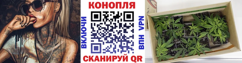 kraken как войти  купить   Сысерть  МАРИХУАНА тримм 